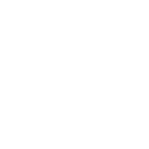 Enfoque Integral y Personalizado